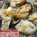 【播州赤穂/極旨牡蠣】デカプリオイスター500g (坂越カキ)　送料無料 冷凍便 バーベキュー BBQ