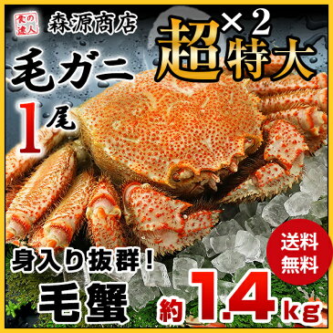 毛ガニ 超特大1尾 約1.4kg ロシア産 ( 毛蟹 けがに ケガニ 毛ガニ かに カニ 蟹 ) ギフト 送料無料 冷凍便