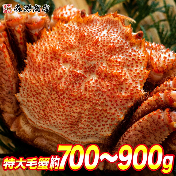 森源商店 カニ 毛蟹 毛がに ケガニ 蟹 カニ かに ロシア産 毛ガニ1尾 約700g～900g 大サイズ ギフト