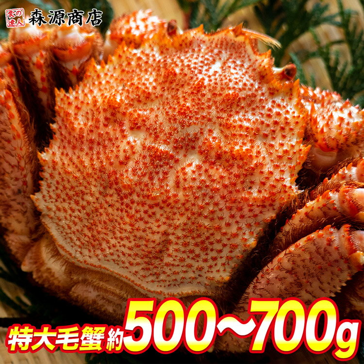 森源商店 カニ ロシア産 毛ガニ1尾 約500g～700g 中サイズ ギフト