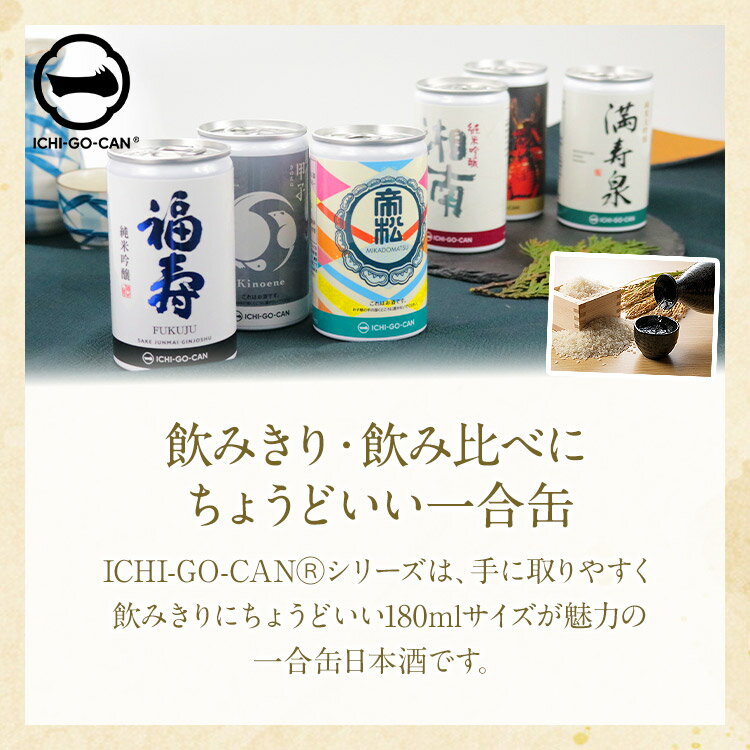 ���ܼ� ������� 6�糧�å� �Х��䡼���� �� ���� ICHI-GO-CAN