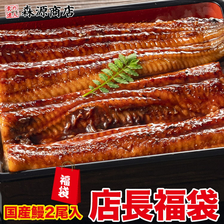 国産鰻2尾が絶対入ってる！店長おまかせ福袋 食品ロス削減 海鮮 冷凍食品 福袋 食品 ギフト お歳暮 お取り寄せグルメ 食品のサムネイル