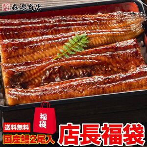 国産鰻2尾が絶対入ってる！店長おまかせ福袋 食品ロス削減 海鮮 冷凍食品 福袋 食品 ギフト お歳暮 お取り寄せグルメ 食品