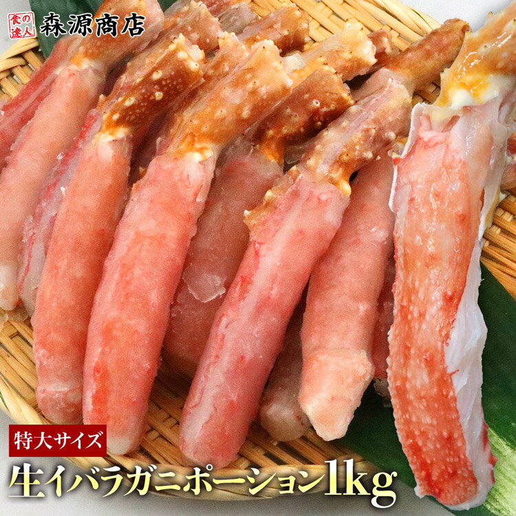  Х饬 ݡ 1kg (NET800g) եݡ ǥ󥭥󥰥  ɿ  ե ץ쥼