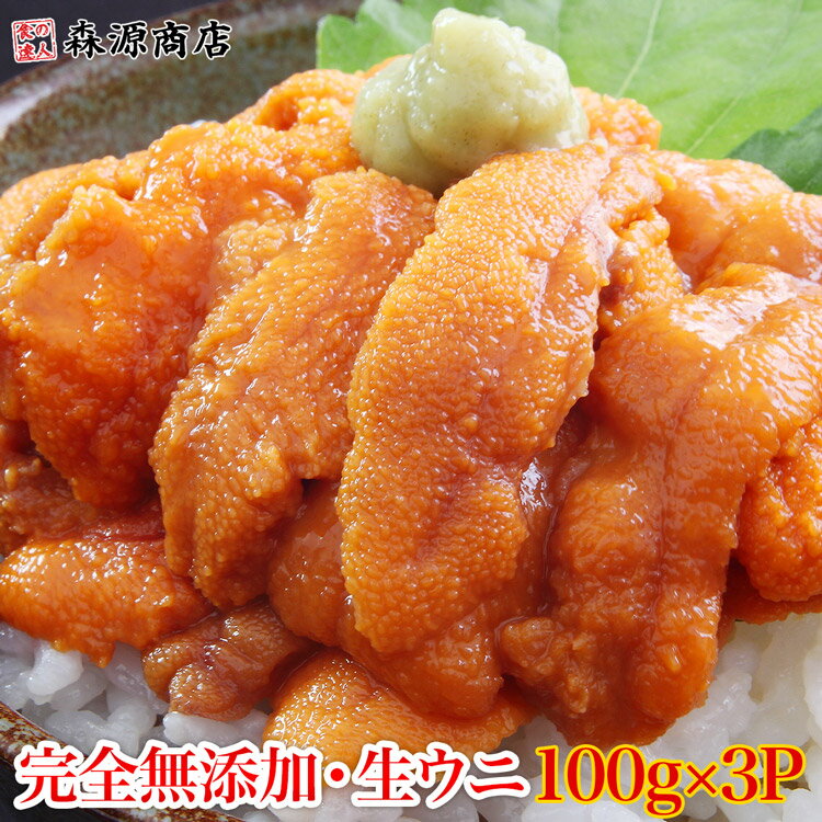 生うに 100g×3パック 完全無添加 み