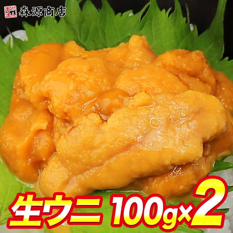 ＼2個目700円クーポン／ 訳あり 生うに 100g×2パック 完全無添加 みょうばん不使用 お刺身用 生 ウニ うに 雲丹 冷凍 ギフトのサムネイル