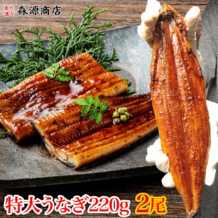 蒲焼き 特大 うなぎ 蒲焼き2尾 約220g (計約440g) 鰻 中国産 土用丑の日 父の日 ギフト