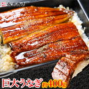 蒲焼き ＼ただいま約半額!!／ 巨大 うなぎ 蒲焼 1尾 約400g前後 かばやき ウナギ うなぎ 土用丑の日 鰻蒲焼 ギフト