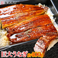 https://thumbnail.image.rakuten.co.jp/@0_mall/morigen/cabinet/syouhin/unagi/unagi-018.jpg