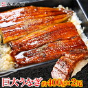 巨大 うなぎ 蒲焼 2尾 約400g前後 (計約800g)送料無料 かばやき ウナギ うなぎ 土用丑 土用 丑の日 鰻 蒲焼き ギフト 母の日 ギフト プレゼン...