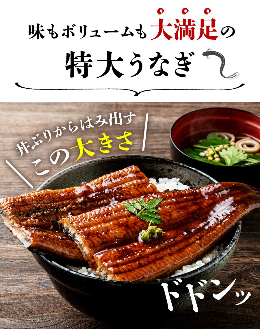 敬老の日配送受付中★ うなぎ 国産 鰻 昨年完売 ウナギ蒲焼 風呂敷包み 2尾 約150g×2本 風呂敷 プレゼント かば焼き 鹿児島県 土用丑 土用 丑の日 御中元 お中元 スタミナ 夏 冷凍便 【あす楽】