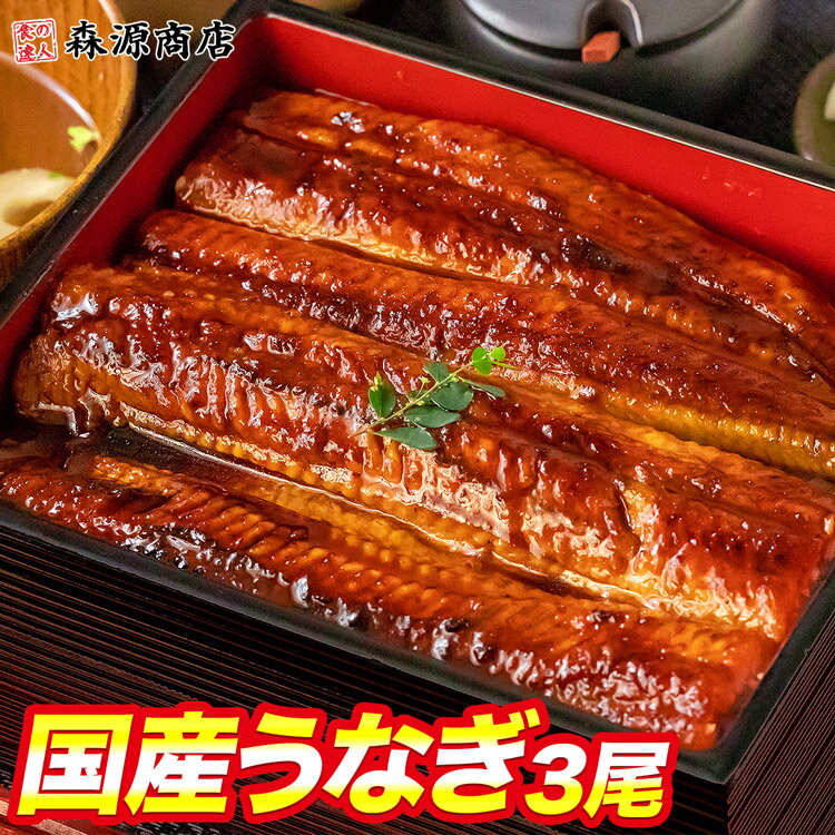 国産うなぎ 3尾 約150g (計約450g) 鰻 うなぎ ウナギ 蒲焼 かば焼き 土用丑 土用 丑の日 スタミナ 夏 父の日 ギフト