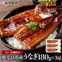 山田水産 うなぎ ＼クーポンで 8,980円!!／ うなぎ 鰻 国産 無投薬 約180g × 3尾 鹿児島県産 ウナギ 蒲焼き 土用丑 山田水産 ギフト 2個目700円クーポン