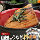 鹿児島県産 山田のうなぎ 粋 5食 全てオーガニック 無投薬 蒲焼き 鰻 ウナギ 山田水産 ギフト