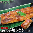 土用の丑の日 うなぎ 手焼き うなぎ 国産 1尾 鰻 九州産 蒲焼き ウナギ 100g以上 土用丑 土用 丑の日 スタミナ 夏 お中元 ギフト うなぎ プレゼント 御中元 鰻 お中元 うなぎ 国産 土用丑の日 うなぎ