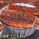 土用の丑の日 うなぎ 鹿児島県産 1尾 125g 国産 蒲焼き 長焼き 無投薬 焼き上げ 無頭 1本 お中元 うなぎ 国産 御中元 鰻土用の丑の日 ウナギ 土用...