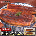 土用の丑の日 うなぎ 鹿児島県産 2尾 125g×2 国産 蒲焼き 長焼き 無投薬 焼き上げ 無頭 2本 お中元 ギフト うなぎ 国産 御中元 鰻 土用の丑の日...