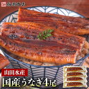 土用の丑の日 うなぎ 鹿児島県産 4尾 125g×4 国産 蒲焼き 長焼き 無投薬 焼き上げ 無頭 4本 お中元 ギフト うなぎ 国産 御中元 鰻 土用の丑の日...