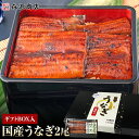 土用の丑の日 うなぎ 鹿児島県産 2尾 ギフトBOX入 125g×2 化粧箱入 国産 蒲焼き 長焼き 無投薬 焼き上げ 無頭 2本 お中元 御中元 鰻 土用の丑...