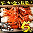 ＼2個目700円クーポン／ 超特大 ボイル ずわい蟹 5kg 蟹 ボイルズワイガニ 蟹（ カニ かに ）鍋 業務用 大盛り ズワイガニ 訳あり 食べ放題 カニ 訳あり 蟹脚 ギフト あす楽