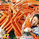 【72H限定!ポイント最大62倍★森源祭り】超早割 2801...