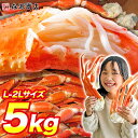 ＼タイムセール中 ／ 訳あり ボイル ズワイ蟹 カニ脚 5kg L～2Lサイズ 業務用 かに カニ 訳あり ずわい蟹 ズワイガニ 食べ放題 ギフト お取り寄せグルメ 食品