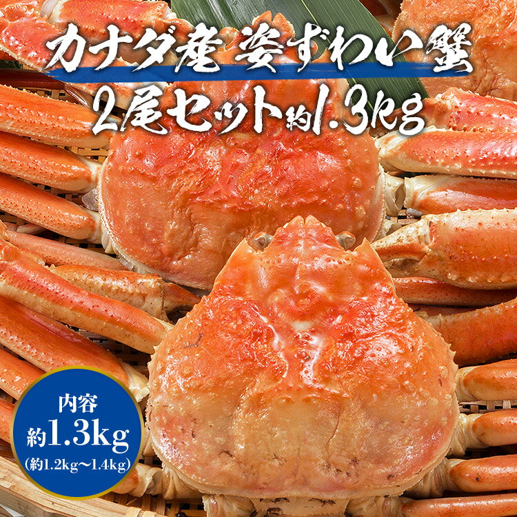 カナダ産 ボイル済み 姿ずわい2尾 約1.3kg（1.2kg〜1.4kg） 見舞い ズワイガニ ずわい蟹 カニ味噌 かにみそ 蟹味噌 ギフト プレゼント