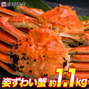 \ 数量限定クーポンで5,264円!! / かに 蟹 カニ 高級カナダ産 ボイル済み 姿ずわい2尾 約1.1kg(1kg〜1.2kg) ギフト プレゼント