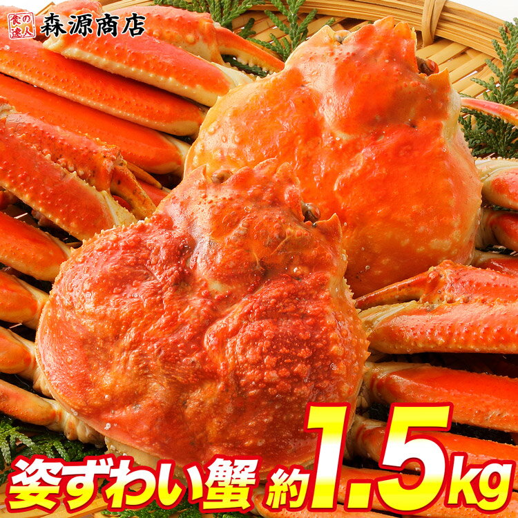 【早割300円クーポン有】かに 蟹 カニ 高級カナダ産 特大 ボイル済み 姿ずわい2尾 約1.5kg(1.4kg〜1.6kg) 送料無料 ギフト お歳暮 早割 クリスマス お取り寄せグルメ 食品 ギフト 海鮮