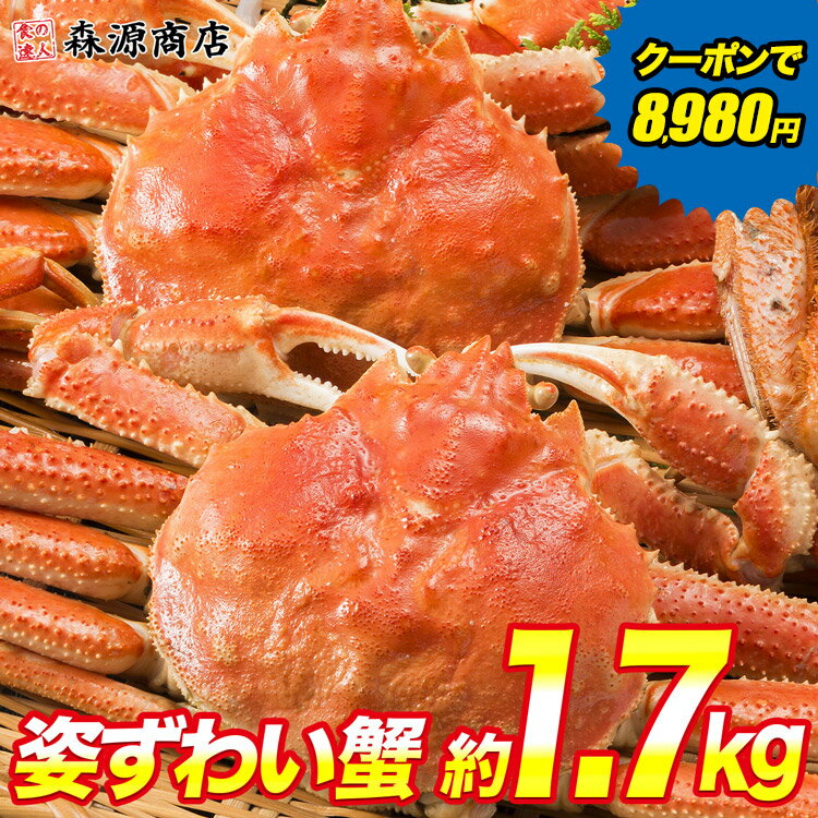 ＼1,000円OFFクーポンで8,980円!!／ かに 蟹 カニ 高級カナダ産 ボイル済み 姿ずわい2尾 約1.7kg（1.6kg〜1.8kg）