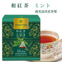 ミントン・ティー ミントン 和紅茶 『ミント』－鹿児島県産茶葉使用－ ティーバッグ 2g×12P | 森半 紅茶 茶 お茶 ティー ティーパック 茶葉 プレゼント ギフト 水出し 水出し紅茶 フレーバーティー MINTON 贈り物 贈答 プチギフト 水だし 水だし紅茶 お礼 お祝い 内祝い ティ フレーバー