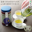 くつろぎ 急須 CHASTA ( チャスタ )＆五香煎茶ギフト | バレンタイン プレゼント 煎茶 日本茶 透明急須 透明 急須 おしゃれ 洗いやすい 日本製 国産 オシャレ モダン 和モダン クリア 茶器 トライタン 取っ手無し 取手なし 漂白 茶こし 小さめ 割れない急須