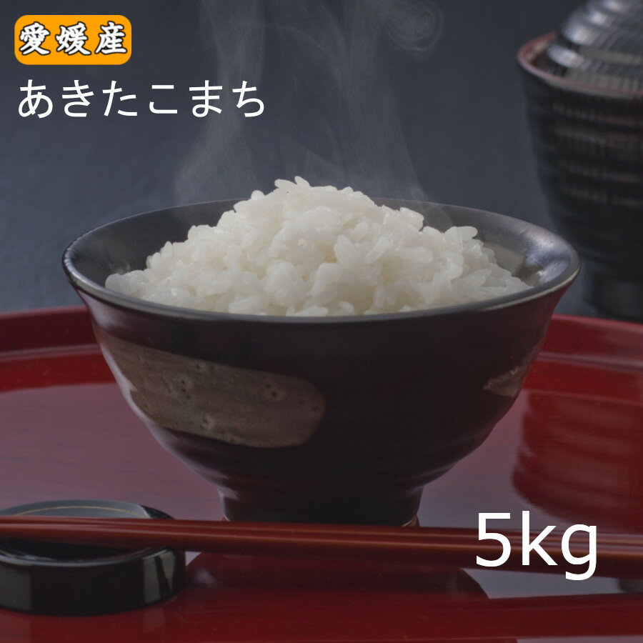 【令和元年産】【新米】愛媛県産あきたこまち5kg【送料無料】※北海道,東北,沖縄除く