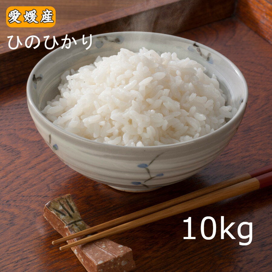 米 10kg 「愛媛県産ひのひかり10kg」 お米 10キロ