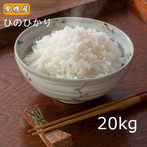 米 20kg「愛媛県産 ひのひかり 20kg(10kg×2)」 お米 20キロ 令和5年産 米 送料無料 ※北海道.東北.沖縄配送不可