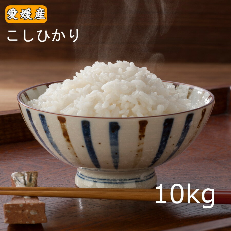 【令和元年産】【新米】愛媛県産こしひかり10kg【コシヒカリ】【送料無料】※北海道,...