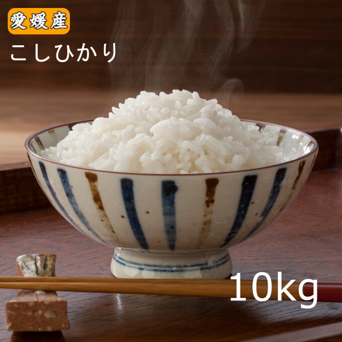 【令和元年産】【新米】愛媛県産こしひかり10kg【コシヒカリ】【送料無料】※北海道,...