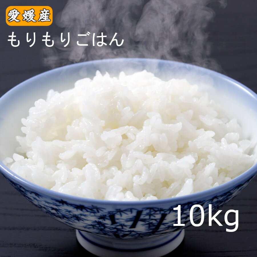 お米 「もりもりごはん10kg 」 業務