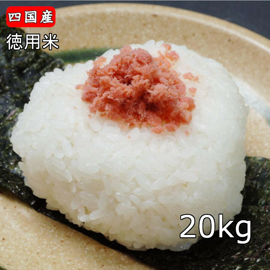 米 10kg 2袋 「徳用米20kg(10kg×2)」 白米