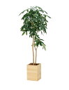 人工観葉植物 光触媒 造花 大型 ウッドボックスパキラ 高さ160cm 木製ボックス 消臭 抗菌 防汚 空気清浄 インテリアグリーン 間仕切り 店舗用 室内装飾...