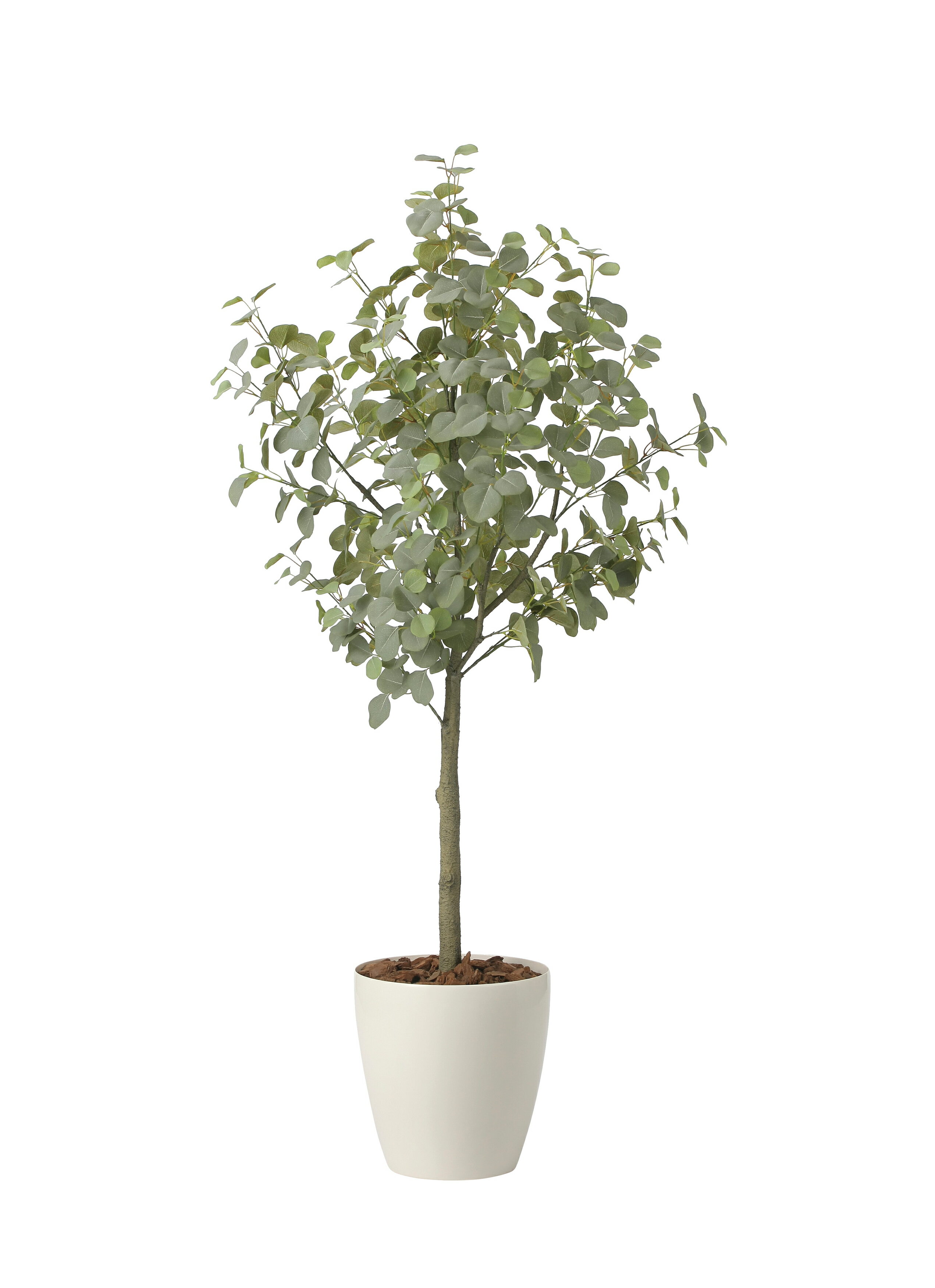 乐天商城 - 人工観葉植物 造花 業務用 施設 オフィス 店舗 装飾 フェイク グリーン リアル 飾り ユーカリツリー1.85m（組立式） 光触媒人工植物 フロアタイプ グリーンシリーズ ナチュラル感 リラックス 癒し 消臭 抗菌 防汚 アートグリーン