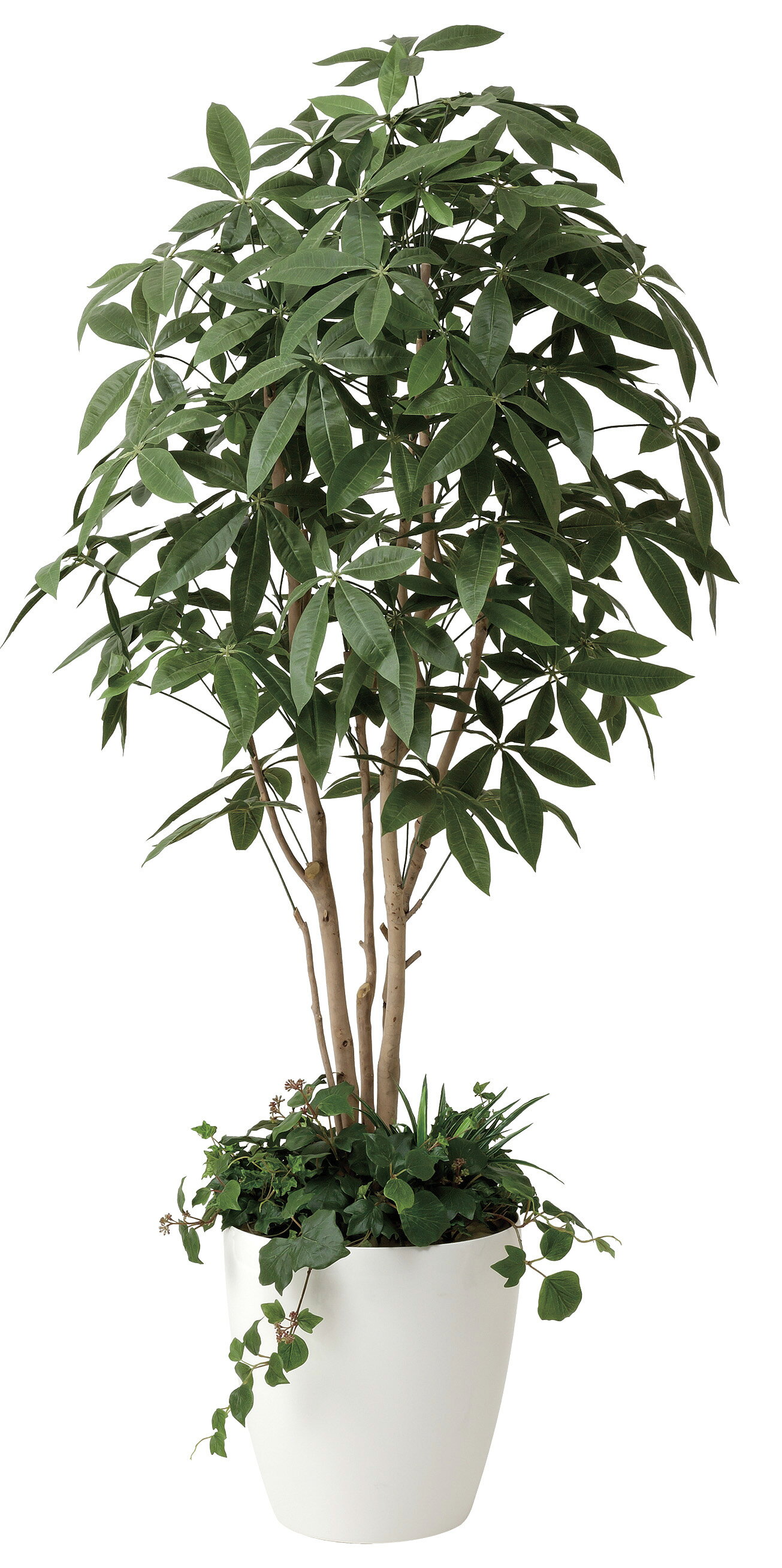 乐天商城 - 人工観葉植物 造花 業務用 施設 オフィス 店舗 装飾 フェイク グリーン リアル 飾り パキラ1.8m 植栽付 光触媒人工植物 フロアタイプ グリーンシリーズ ナチュラル感 リラックス 癒し 消臭 抗菌 防汚 アートグリーン