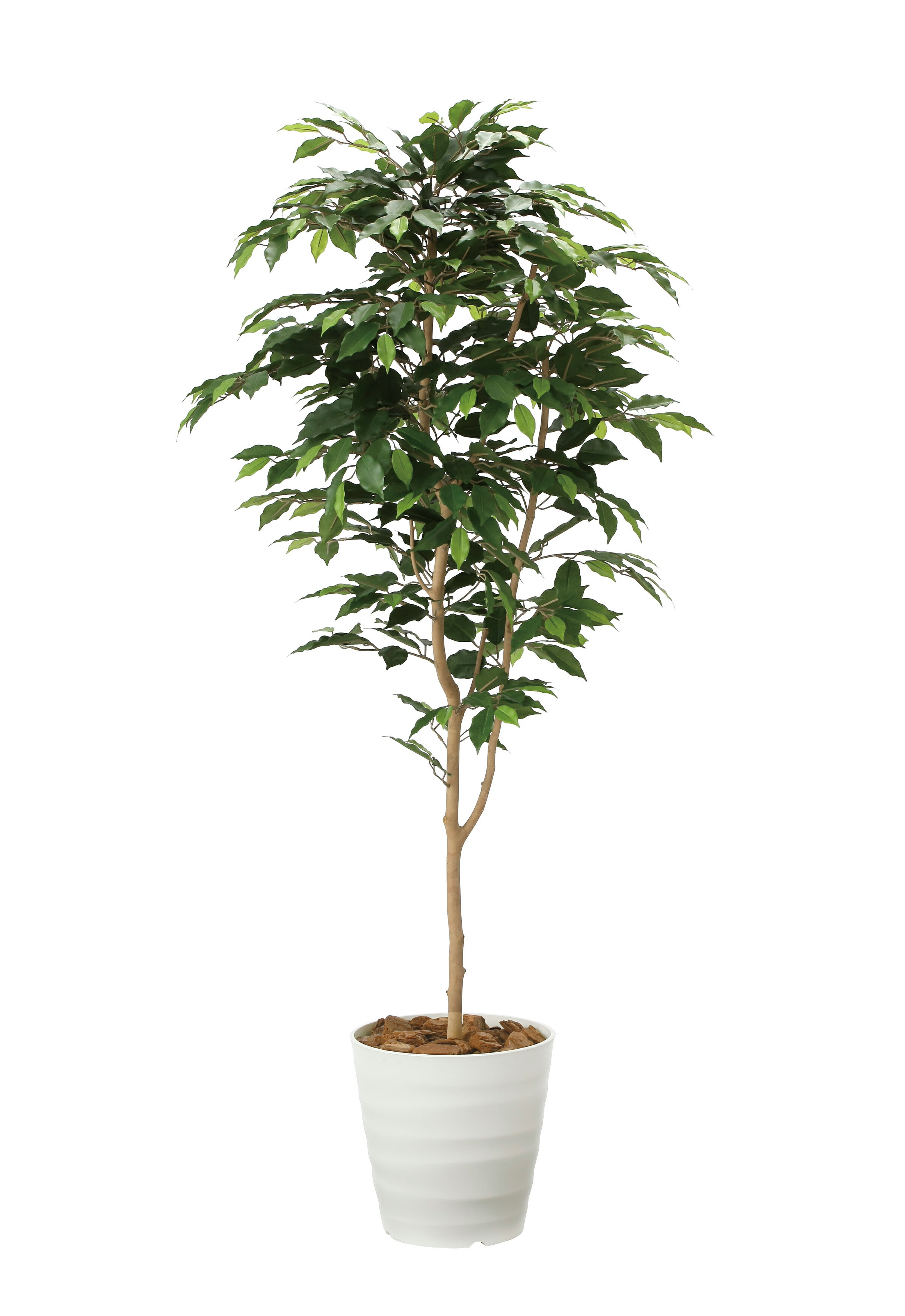 人工観葉植物 造花 業務用 施設 オフィス 店舗 装飾 フェイク グリーン リアル 飾り ベンジャミン1.6m 光触媒人工植物 フロアタイプ グリーンシリーズ ナチュラル感 リラックス 癒し 消臭 抗菌 防汚 アートグリーン