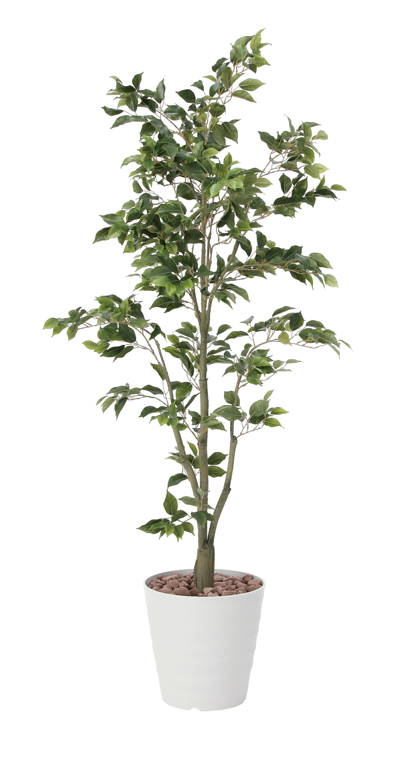 乐天商城 - 人工観葉植物 造花 業務用 施設 オフィス 店舗 装飾 フェイク グリーン リアル 飾り フィカスツリ—1.8m 光触媒人工植物 フロアタイプ グリーンシリーズ ナチュラル感 リラックス 癒し 消臭 抗菌 防汚 アートグリーン