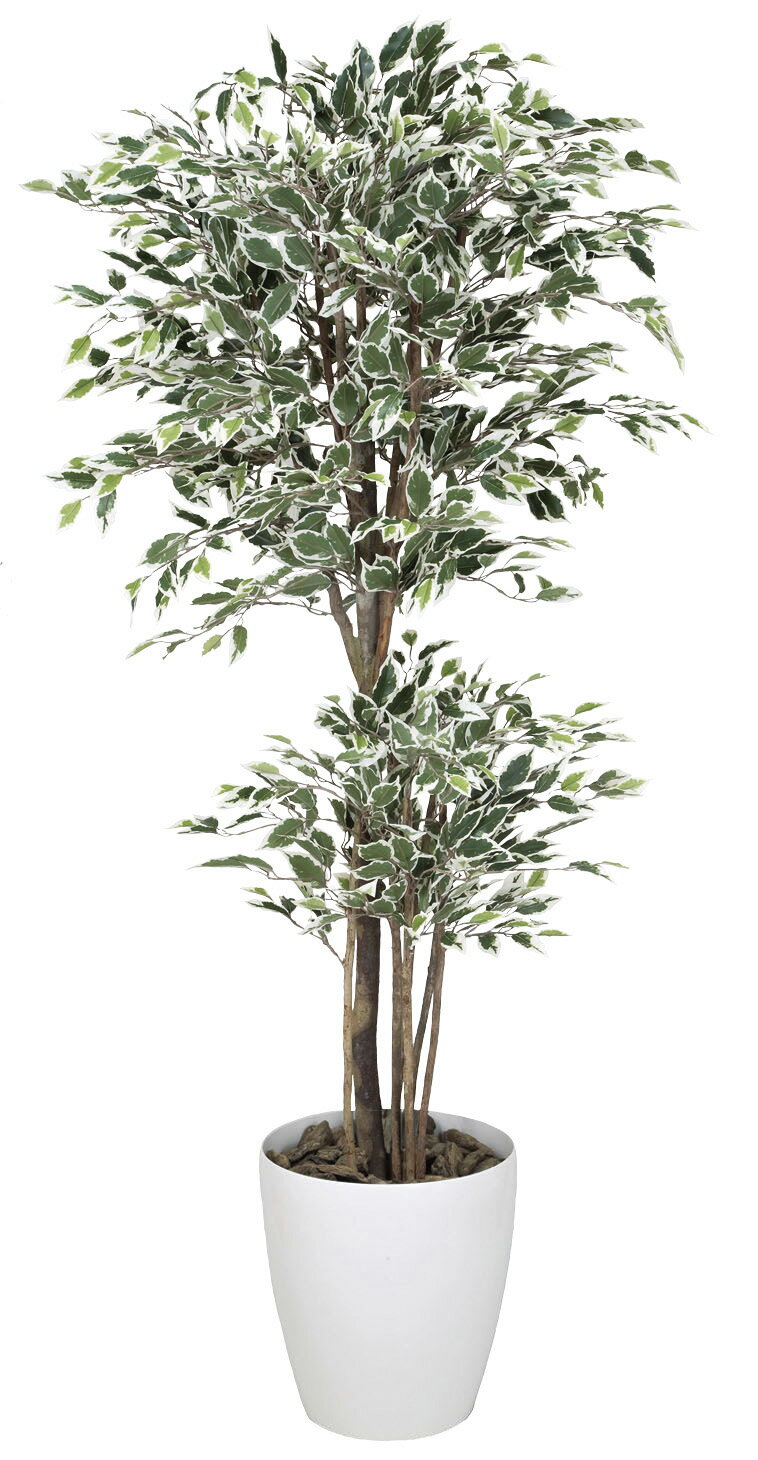 乐天商城 - 人工観葉植物 トロピカルベンジャミン斑入り 1.6m フェイクグリーン 光触媒 消臭 抗菌 防汚 フロアタイプ 業務用 店舗装飾 オフィス 施設装飾 ナチュラル リアル 観葉植物 インテリア 送料無料