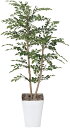 人工観葉植物 トネリコ 1.2m フェイクグリーン 光触媒 消臭 抗菌 防汚 店舗 オフィス 業務用 室内装飾 インテリアグリーン リアルな観葉植物 フロアタイ...