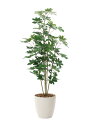 人工観葉植物 カポック 1.8m 光触媒 造花 大型 フロアタイプ 消臭 抗菌 防汚 空気清浄 インテリアグリーン アートグリーン 室内装飾 店舗用 業務用 お...