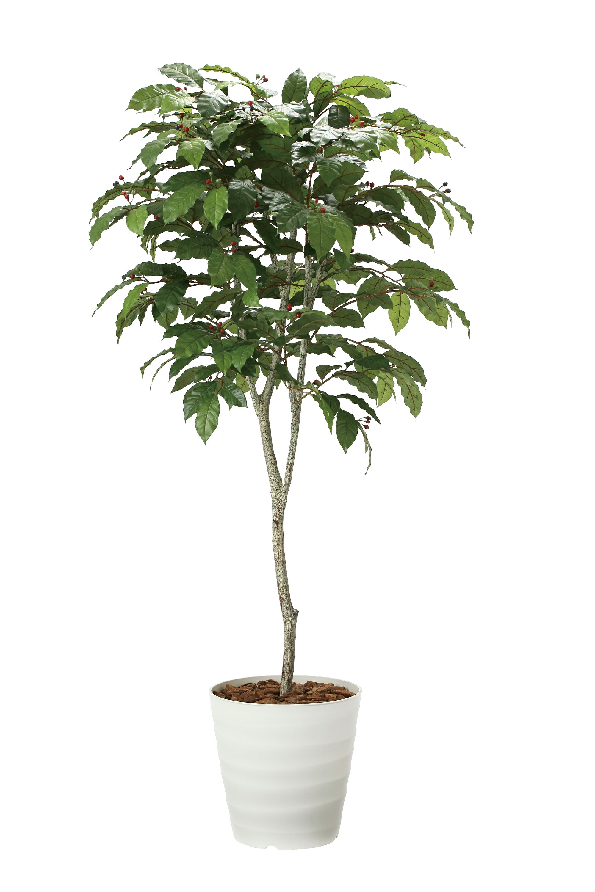 コーヒーツリー1.8m 光触媒人工植物 フロアタイプ グリーンシリーズ ナチュラル感 リラックス 癒し 消臭 抗菌 防汚 アートグリーン