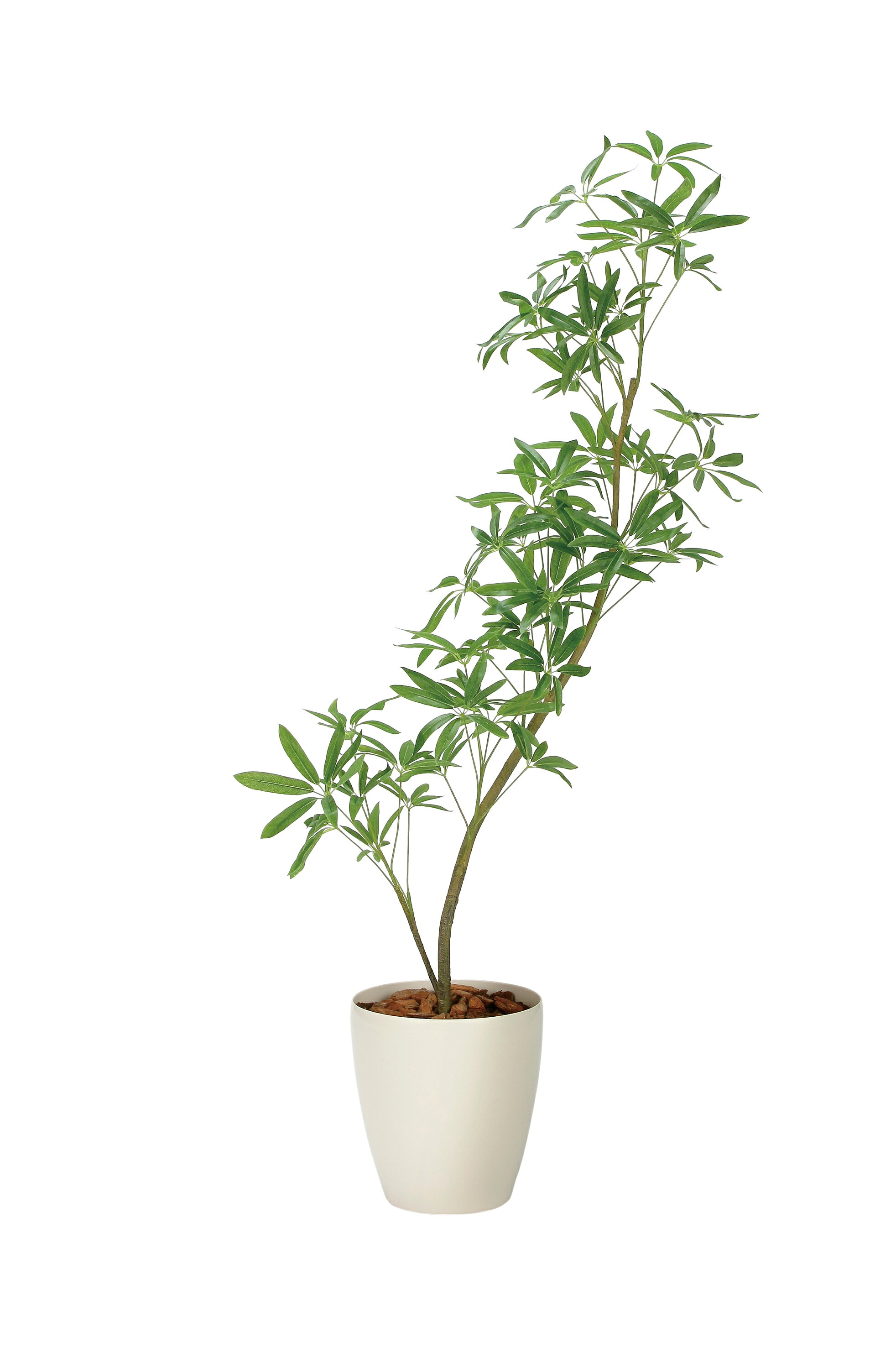 乐天商城 - フレッシュインテリアシェフレラ1.45m 光触媒 人工観葉植物 造花 業務用 施設 オフィス 店舗 装飾 フェイク グリーン リアル 飾りフロアタイプ グリーンシリーズ ナチュラル感 リラックス 癒し 消臭 抗菌 防汚 アートグリーン
