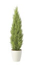 人工観葉植物 ゴールドクレスト 1.35m 光触媒 フェイクグリーン おしゃれ リアル 消臭 抗菌 防汚 大型 インテリアグリーン 店舗装飾 オフィス 業務用 ...